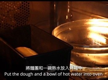 step17: 將麵團和一碗熱水放入烤箱中