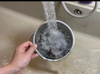 step1: 將急凍蝦啤水一分鐘。