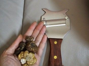 step1: 先將杯露用廚房紙沾少少幾滴水在廚紙上然后擦走松露表面的泥沙備用（如果白松露就用軟牙刷輕擦走面上的泥土備用）*須預備一把專門刨松露切片的刨刀