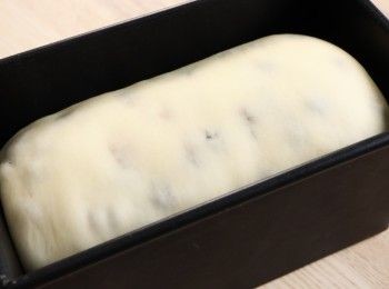 step2: 按壓麵團排氣，擀成長方形麵團（約18cm寬×40cm長）
加入之前泡好的葡萄乾
折疊兩次將麵團翻轉90度, 把麵團捲起來
鬆弛20分鐘

將麵團擀成18cm x 40cm長
折疊兩次, 將麵團翻轉90度
將麵團擀成18cm x 40cm長
滾成圓柱形的麵團
麵團放入抹好油的麵包模中
最終發酵直至 90% 滿 (38°C)