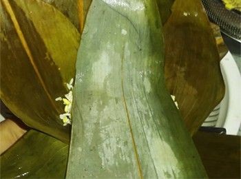 step12: 面加一片竹葉