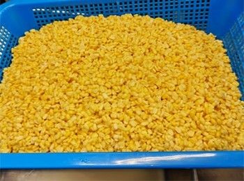 step1: 半邊綠豆清水浸泡4-6小時，隔水加入醃料拌勻