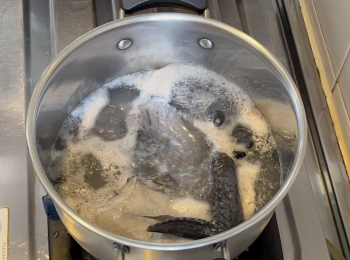 step2: 烏雞（竹絲雞)用水洗乾淨，室溫水汆水，洗乾淨備用