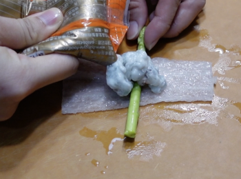 step2: 將竹笙有凸紋面朝下，蘆筍剪成合適長度，將蝦膠擠在蘆筍上，用竹笙包住鮮蝦漿和蘆筍