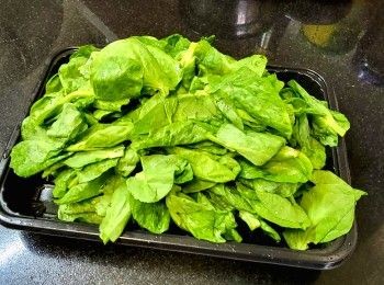 step9: 豆苗