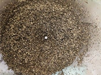 step2: 用攪拌機打成泥，備用