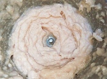 step3: 魚肉+肥肉+冰水打成魚漿