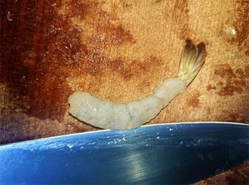 step2: 背部界一刀