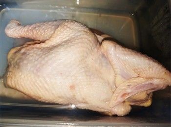 step1: 雞用鹽醃3小時