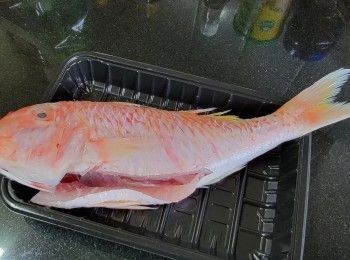 step9: 三鬚魚