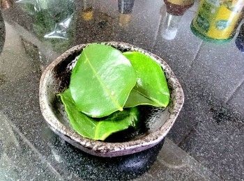step4: 檸檬葉