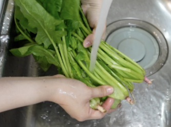 step2: 用水沖洗菠菜，剪一剪菠菜，分開根、莖和葉三個部分清洗，詳細清洗方法請參考youtube影片：https://youtu.be/1wAzBp1iYek