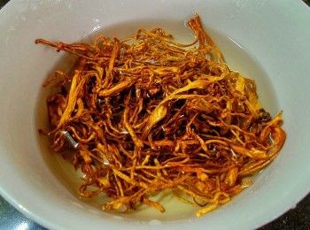 step10: 蟲草花