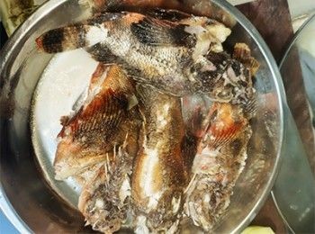 step9: 撈起石崇魚