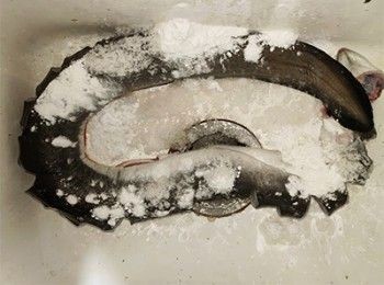 step12: 加入生粉及粗鹽，清洗魚潺