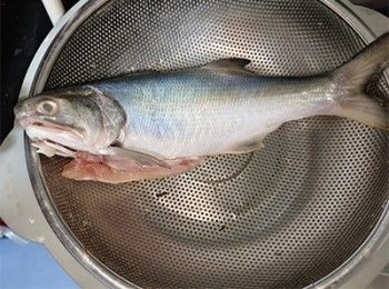 step5: 馬友洗淨內外抹鹽醃1小時