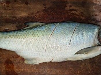 step6: 兩面魚身界三刀