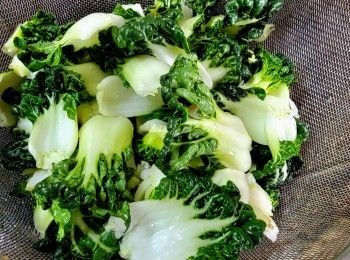 step6: 白菜