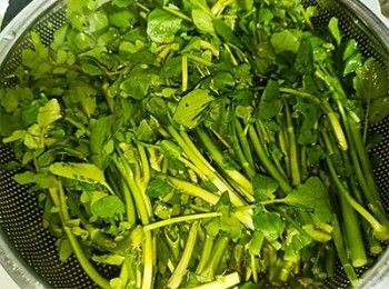 step2: 西洋菜清水加鹽浸泡30分鐘