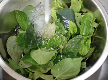 step1: 雞屎藤摘完葉後用水洗乾淨，加水攪碎