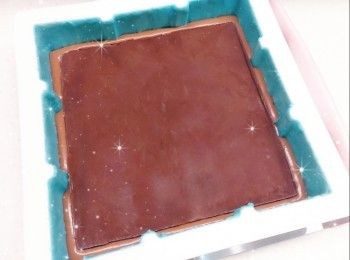 step16: 蓋上保鮮紙，放進冰格冷凍至少5小時至硬身，脫模，即可