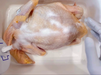 step1: 先將雞沖水洗淨表面，再用鹽清潔雞皮和按摩，去除內臟，沖水洗淨。