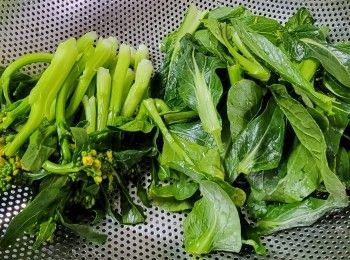 step4: 菜心