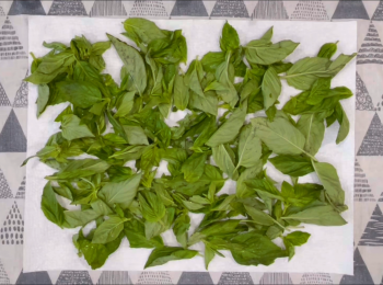 step2: 用脫水器把羅勒葉脫水，或用廚房紙刷乾。