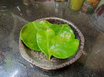 step4: 檸檬葉