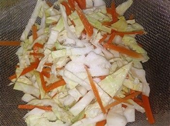 step4: 加1茶匙鹽拌勻靜置20分鐘