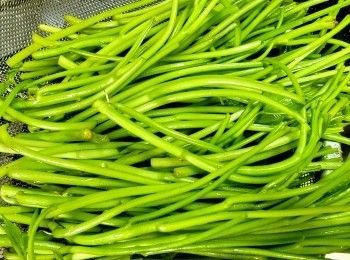 step1: 番薯苗-薯苗葉會做另一餸菜