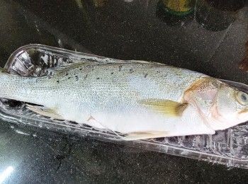 step7: 鱸魚清洗後 , 用少許鹽 , 黃酒醃 30 分鐘 .