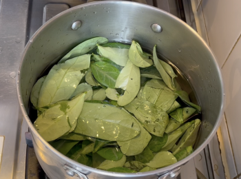 step2: 除了魚腥草，將其他材料放入湯鍋，加水，大火煲滾，轉小火煲45分鐘