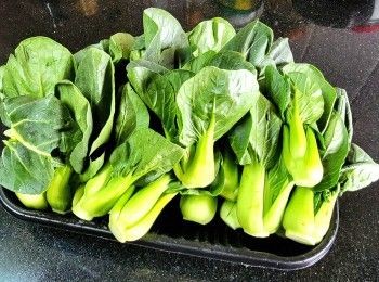 step4: 小棠菜