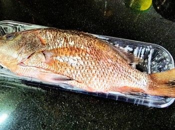 step7: 紅鮪
將紅鮪清洗後用少許鹽，胡椒粉，黃酒醃 15 分鐘。