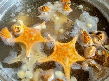 step13: 用約 2.5 公升水放入材料 , 大火滾起轉中細火 , 滾 1'45 分鐘熄火焗 30 分鐘