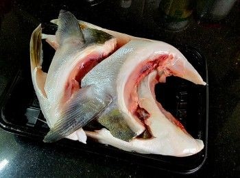 step5: 油魽魚鮫