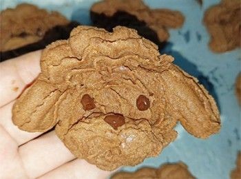 step11: 放涼後用朱古力擠出眼睛及鼻子