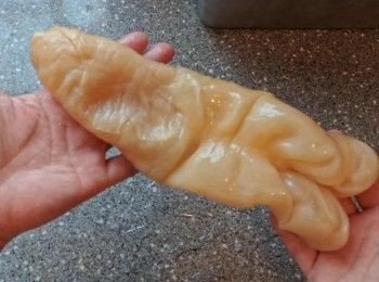 step5: 檢查花膠浸發完成