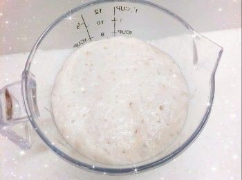 step2: 蓋上保鮮紙，於室溫發酵4-6小時（粉團會攤平，並脹大2-3倍；如進行冷藏液種法／冰種法，可先蓋上保鮮紙，於室溫靜置約1-2小時，然後密封，放進雪櫃冷藏至少12-24小時，最多不要超過24小時），即完成（完成的液種／波蘭種表面充滿小氣泡，底部有明顯氣孔，內部呈現蜂窩組織狀；在桌面上敲一下震動透明容器，粉團會陷塌，並帶有淡淡的酒香味）