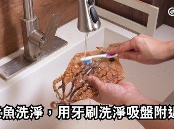step3: 章魚洗淨，用牙刷洗乾淨吸盤附近