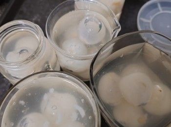 step1: 白涼粉與椰青水拌勻混合好后