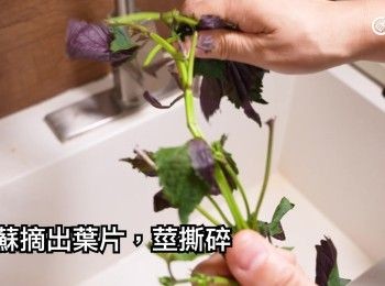 step1: 紫蘇摘出葉片