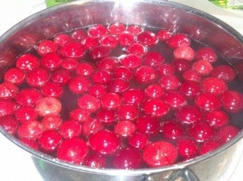 step3: 蔓越莓放入洋菜粉中攪動一下，讓其顏色融入其中