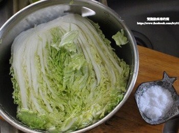 step1: 這是半顆韓國大白菜，如果你覺得有點擁擠，可以切二或四放置，我準備帶約2湯匙粗鹽醃製12小時，因為我們家的料理都是不加味精這種加工<span class="group_1">食材</span>，所以用的鹽巴會用進口的來做料理。