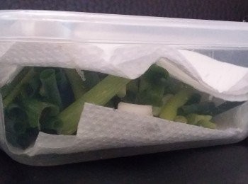 step7: 處理好的葱放雪櫃(4℃) 可存5-7天，勤換廚紙的話可放更久！
可是葱放雪櫃越久，味道越淡，所以還是要快快吃完啊！！