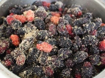 step3: 將紅砂糖和桑葚攪拌，放置5-6小時，讓紅砂糖溶化和桑葚會慢慢滲出果肉水出來，為防放置攪拌完的桑葚被螞蟻或是不該出現的訪客聞香而來，破壞後面要進行的程序。