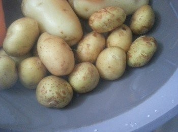 step1: 將小土豆洗淨後,用滾水煮30分鍾,再沖凍水待涼