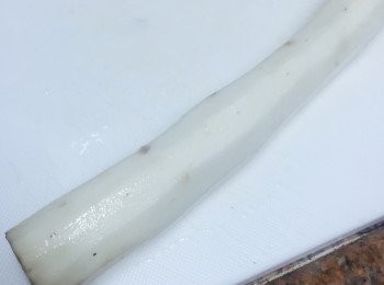 step1: 帶上洗碗用的橡膠長手套處理鮮淮山，避免接觸其黏液。去皮，沖洗乾淨鮮淮山上的泥。