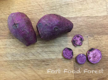 step1: <span class="group_1">紫薯蜜糖蓉</span> 將紫薯洗刷乾淨. 趁紫薯表面還是濕的時候, 在表面劃一刀, 切去兩頭硬的部分, 然後將紫薯放入碗內. 用保鮮紙封口 (不用留孔透   氣), 用微波爐(1000W)加熱 2-3分鐘至熟透, 加熱時間視乎紫薯大小.